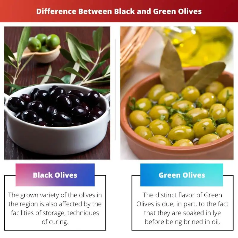 Difference Between Black and Green Olives