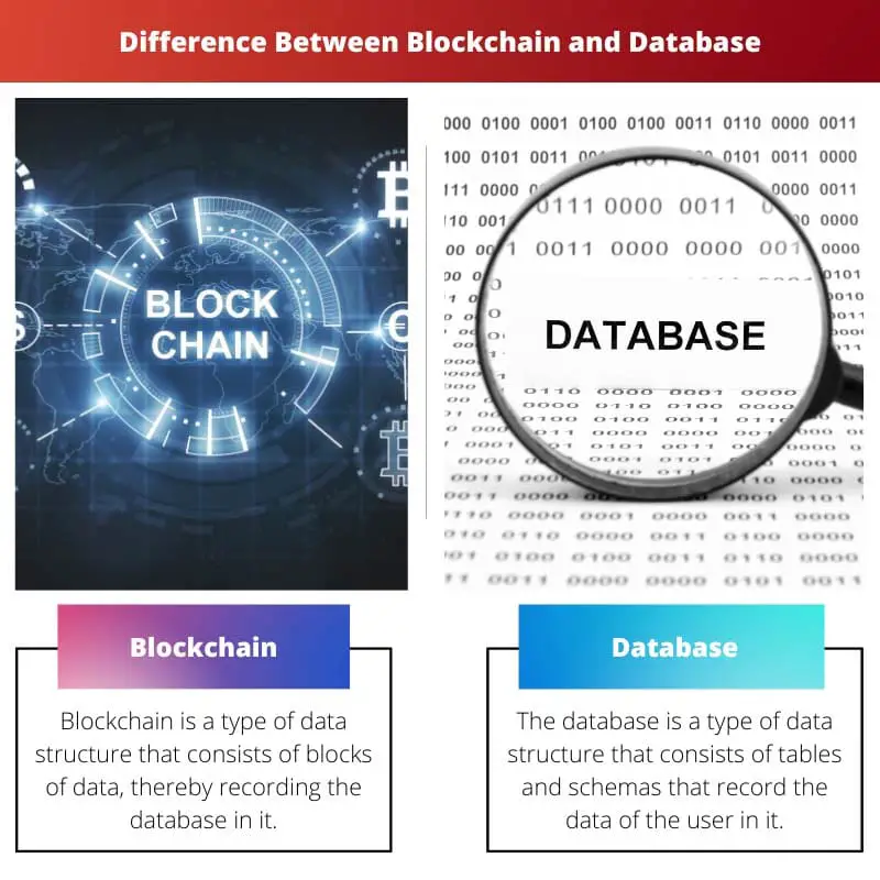 Difference Between Blockchain and Database
