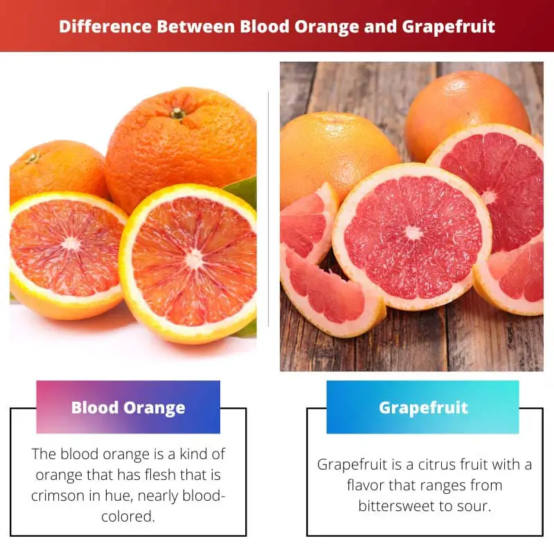 Difference Between Blood Orange and Grapefruit
