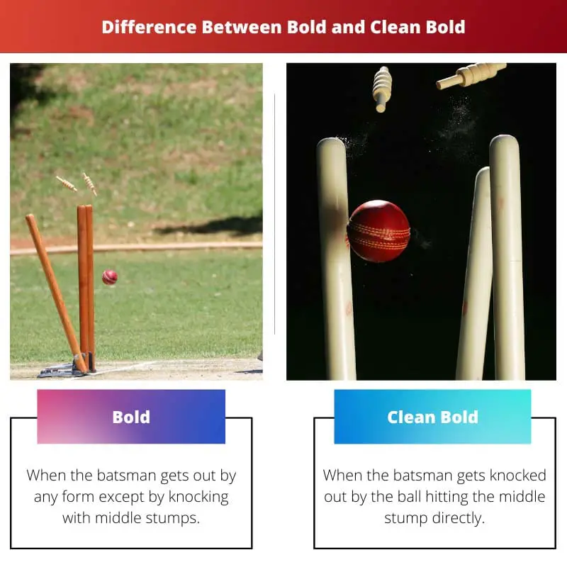 Difference Between Bold and Clean Bold