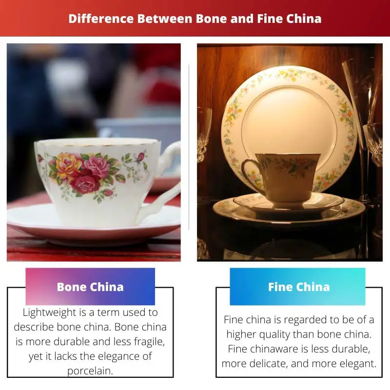 Difference Between Bone and Fine China