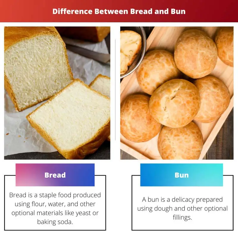 Difference Between Bread and Bun