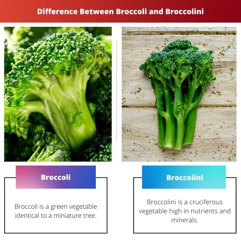 Difference Between Broccoli and Broccolini