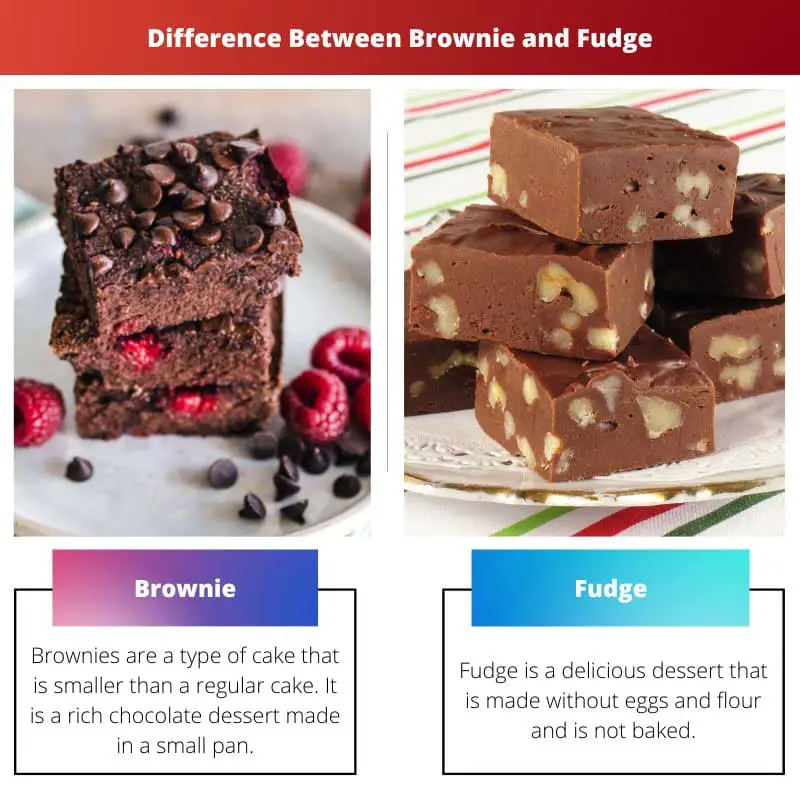Difference Between Brownie and Fudge