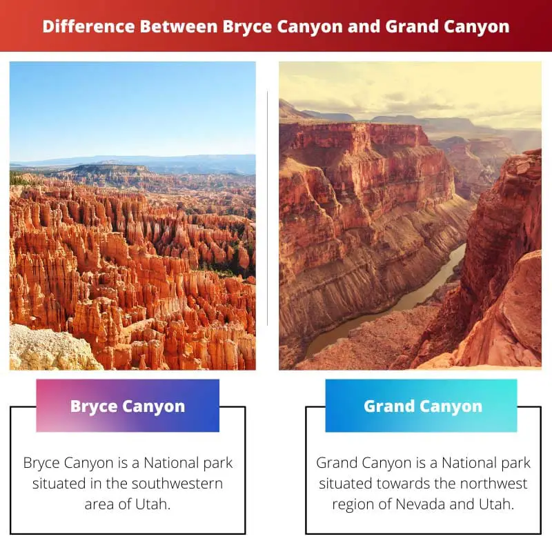 Difference Between Bryce Canyon and Grand Canyon