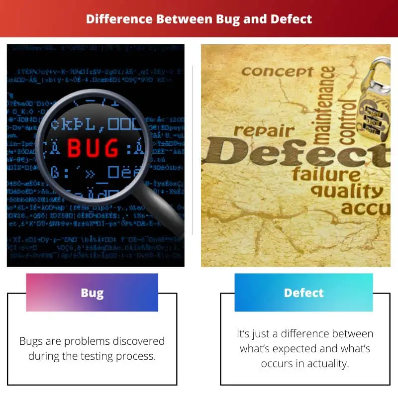 Difference Between Bug and Defect