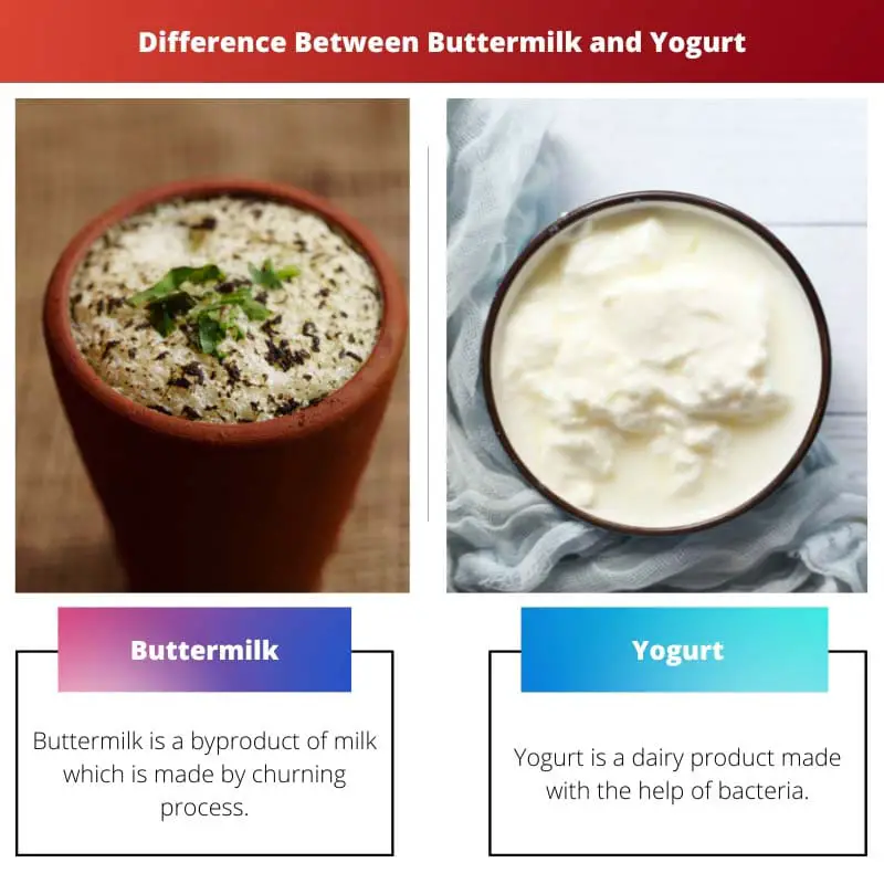 Difference Between Buttermilk and Yogurt