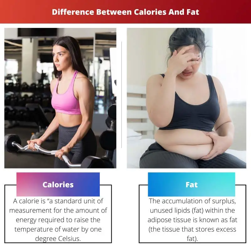 Difference Between Calories And Fat