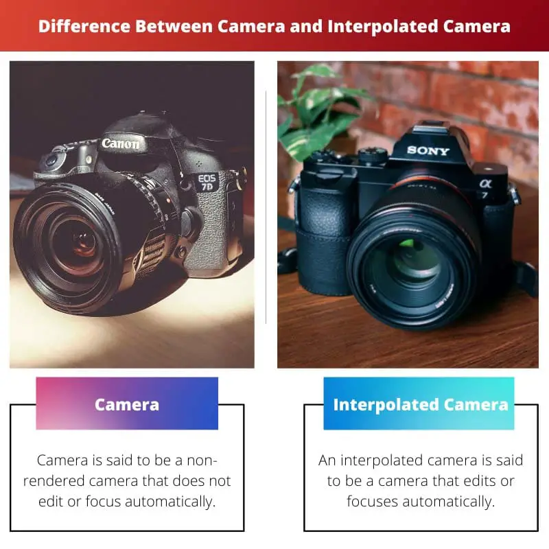 Difference Between Camera and Interpolated Camera