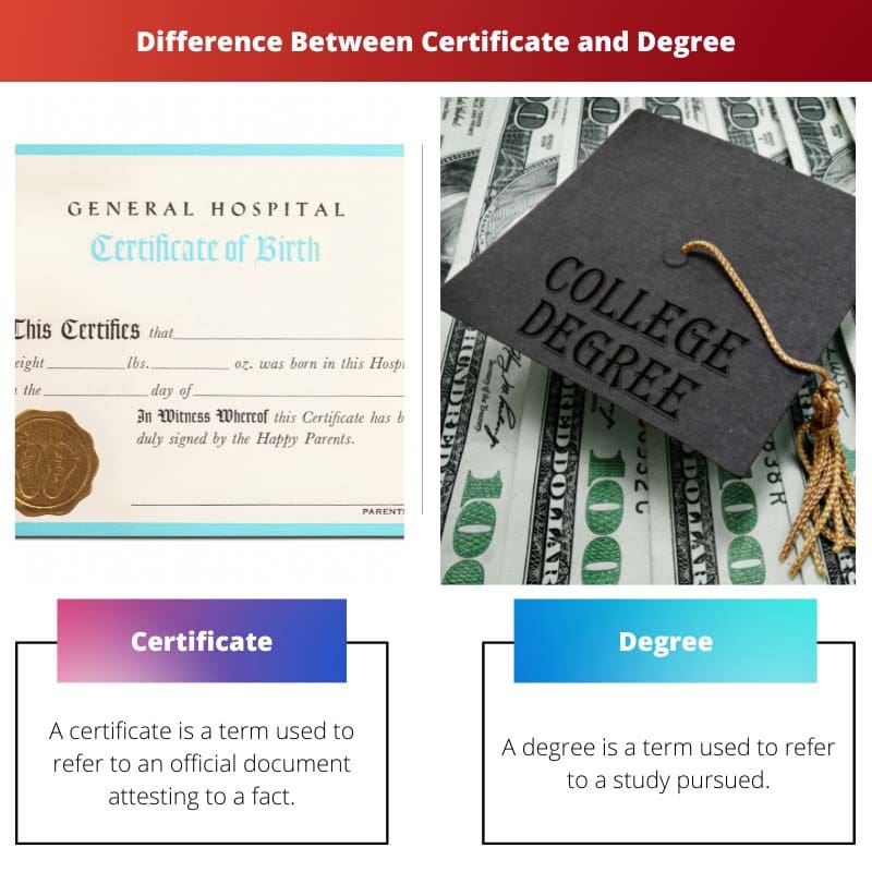 Difference Between Certificate and Degree