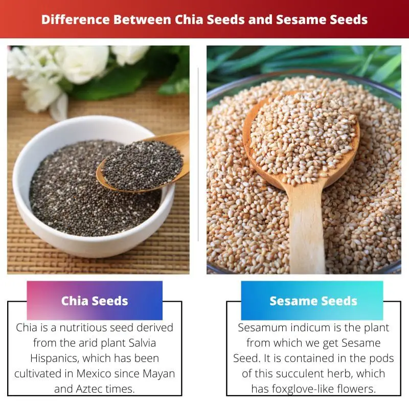 Difference Between Chia Seeds and Sesame Seeds 2