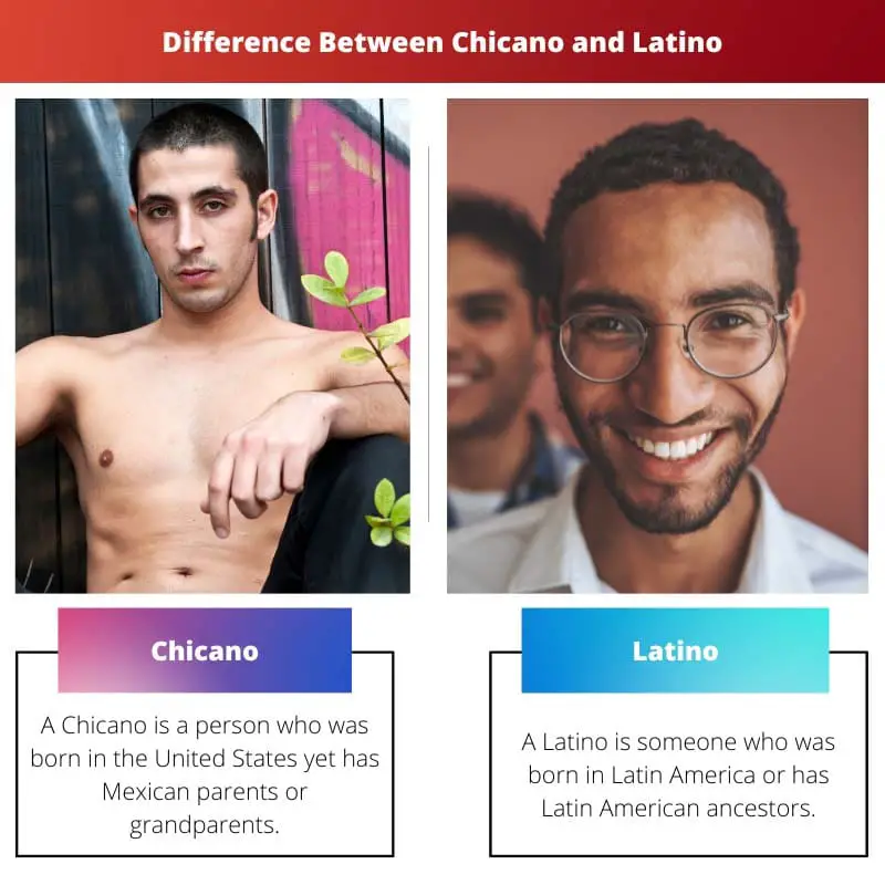 Difference Between Chicano and Latino