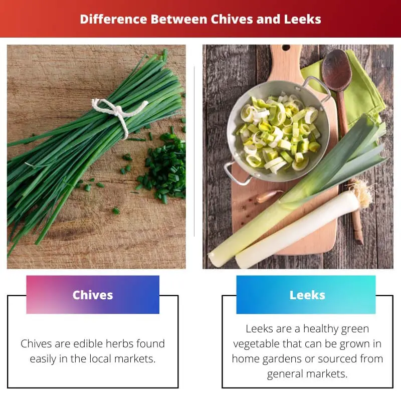 Difference Between Chives and Leeks