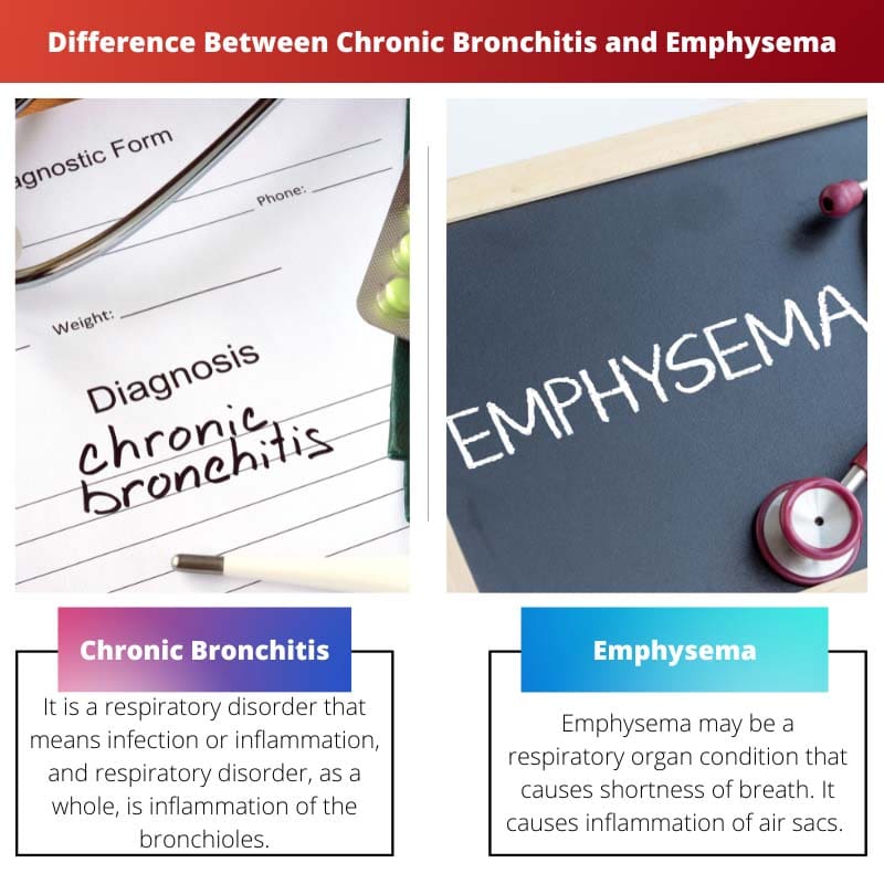 Difference Between Chronic Bronchitis and Emphysema