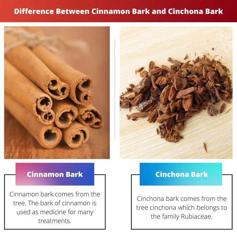 Difference Between Cinnamon Bark and Cinchona Bark