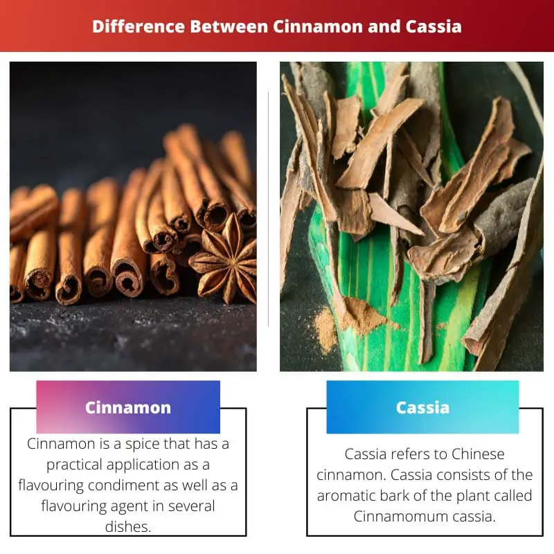 Difference Between Cinnamon and Cassia