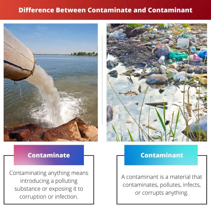 Difference Between Contaminate and Contaminant