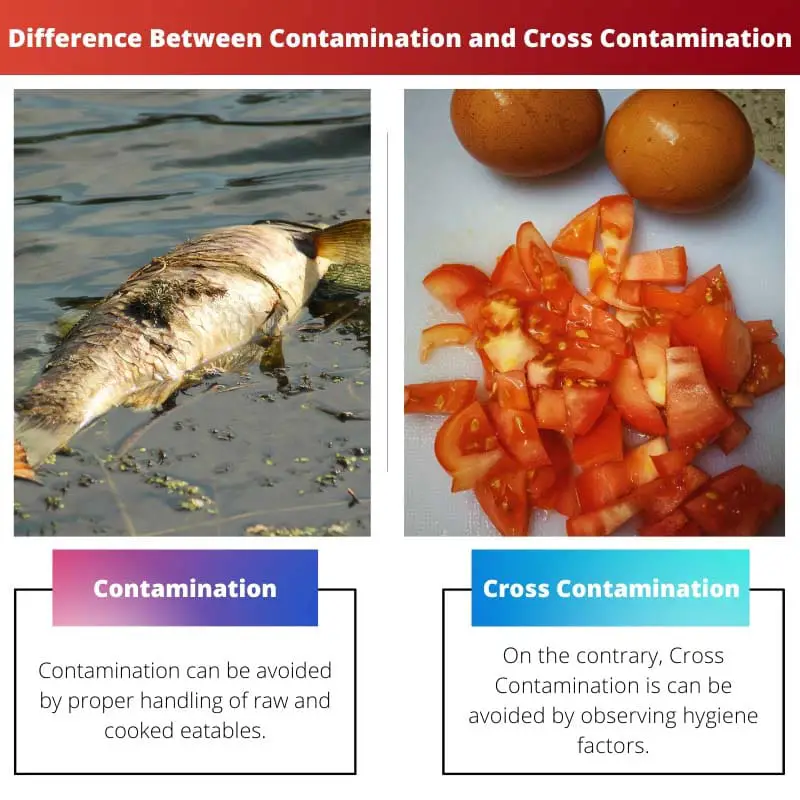 Difference Between Contamination and Cross Contamination