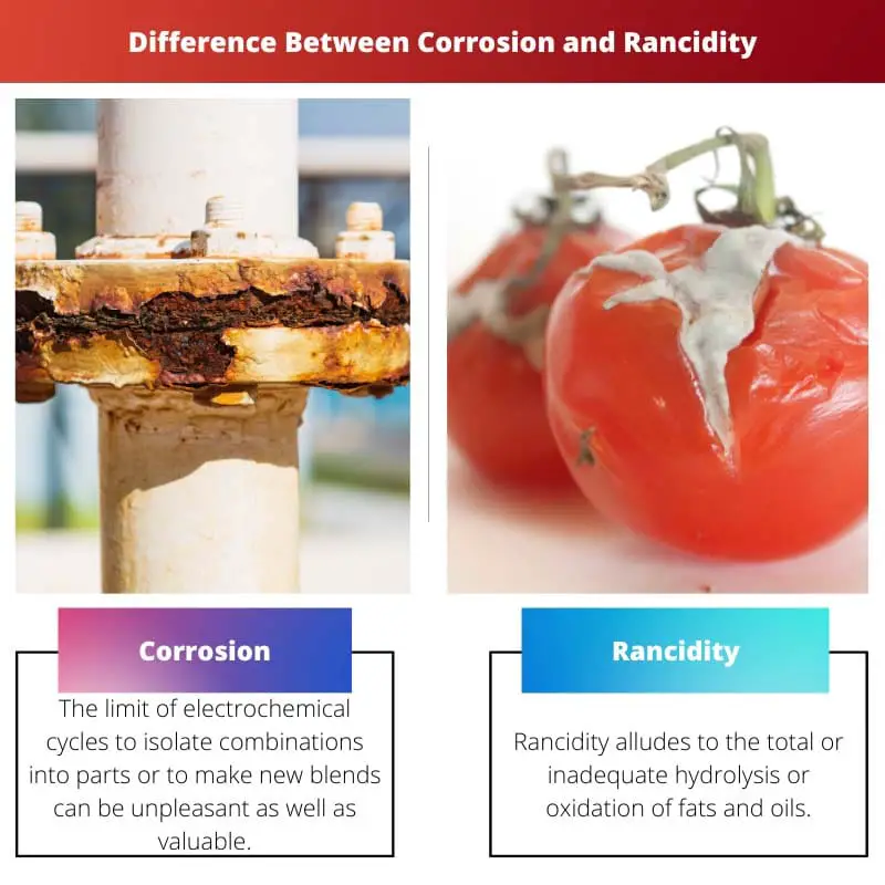 Difference Between Corrosion and Rancidity