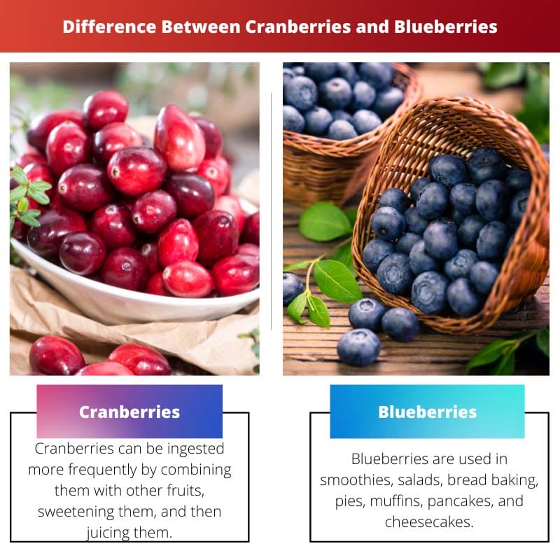 Difference Between Cranberries and Blueberries
