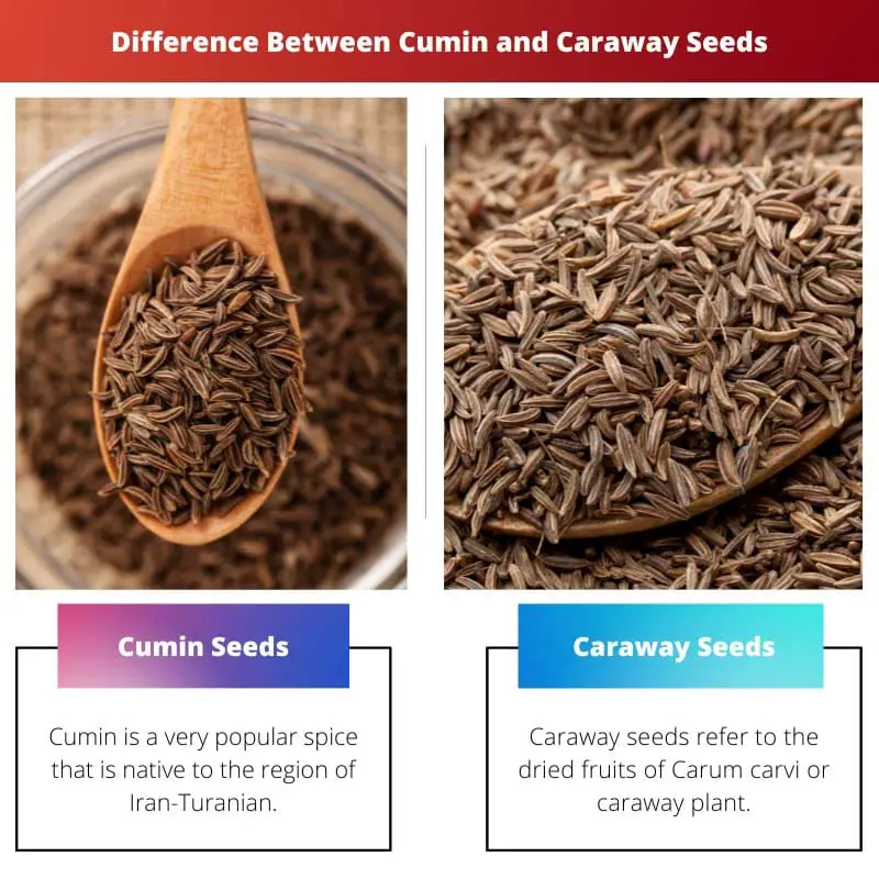 Difference Between Cumin and Caraway Seeds