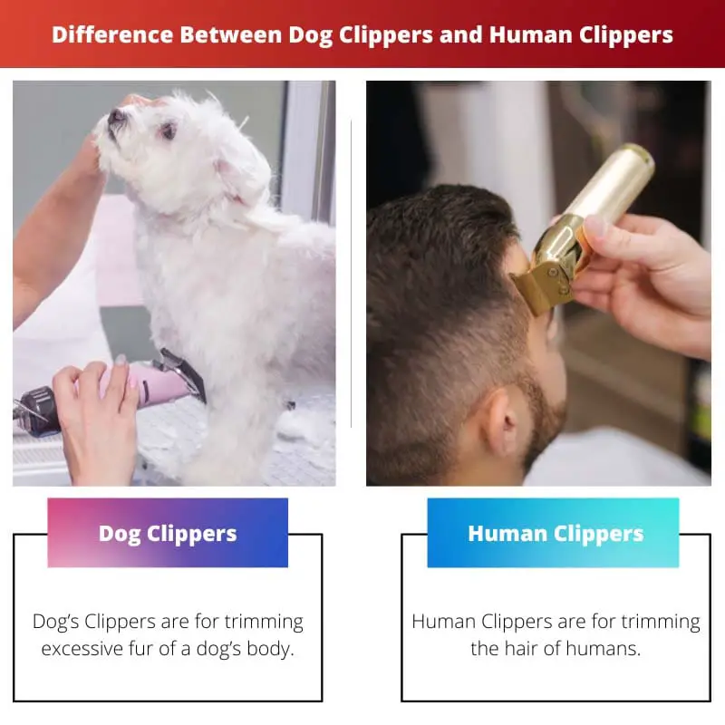 Difference Between Dog Clippers and Human Clippers