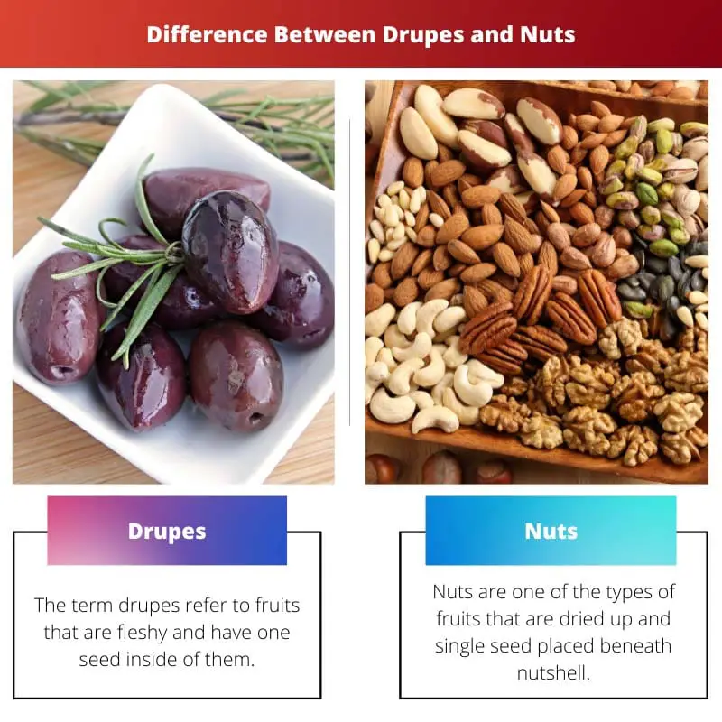 Difference Between Drupes and Nuts