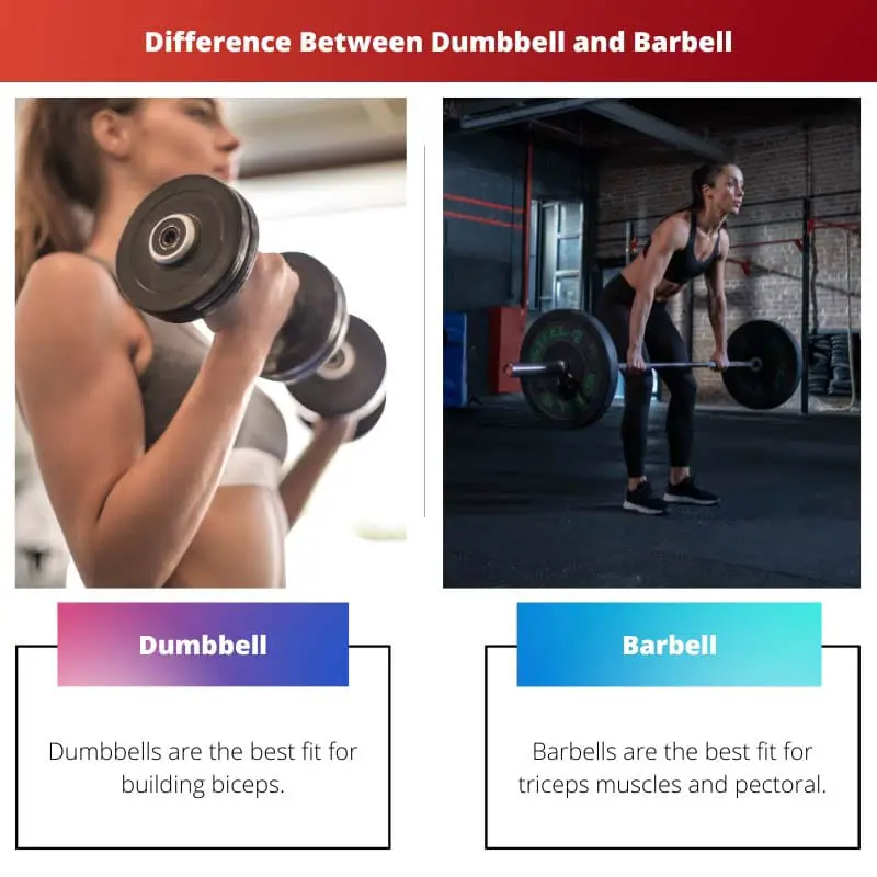 Difference Between Dumbbell and Barbell