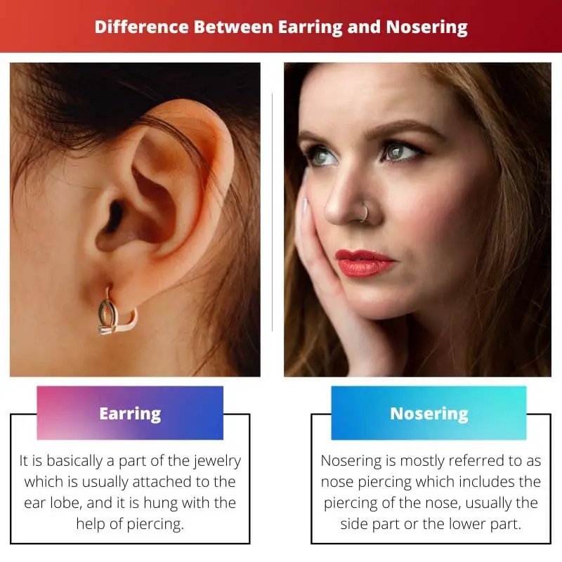 Difference Between Earring and Nosering