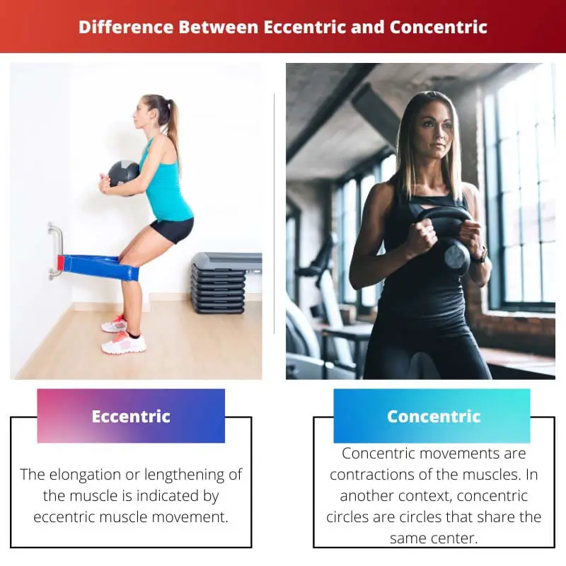 Difference Between Eccentric and Concentric