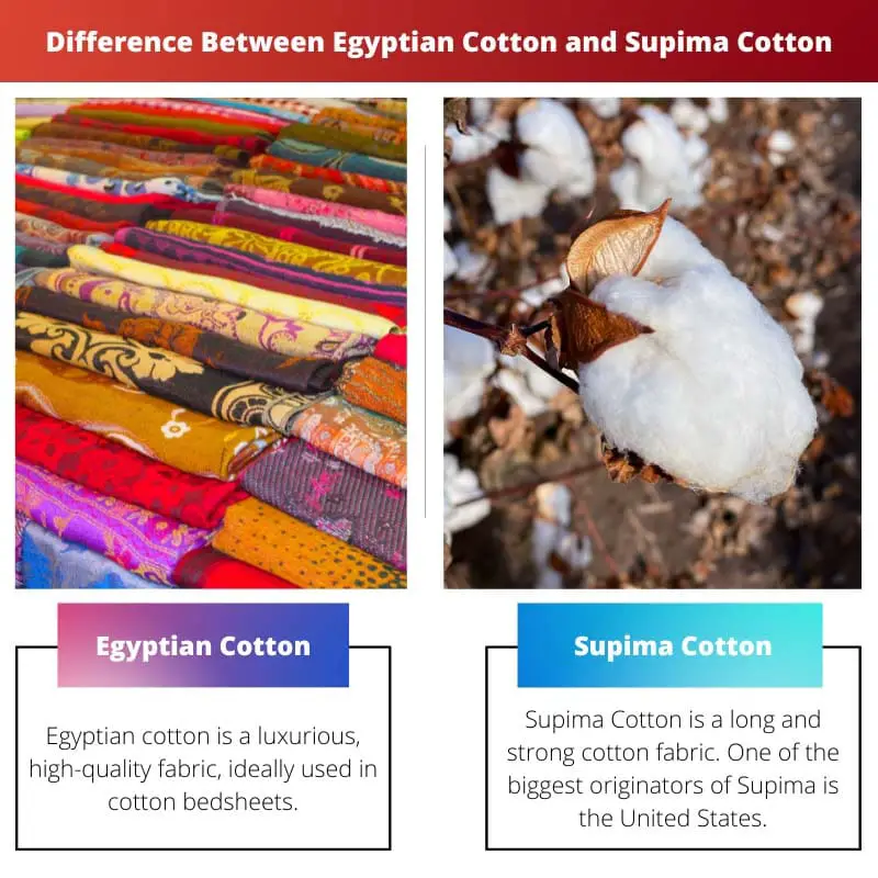 Difference Between Egyptian Cotton and Supima Cotton