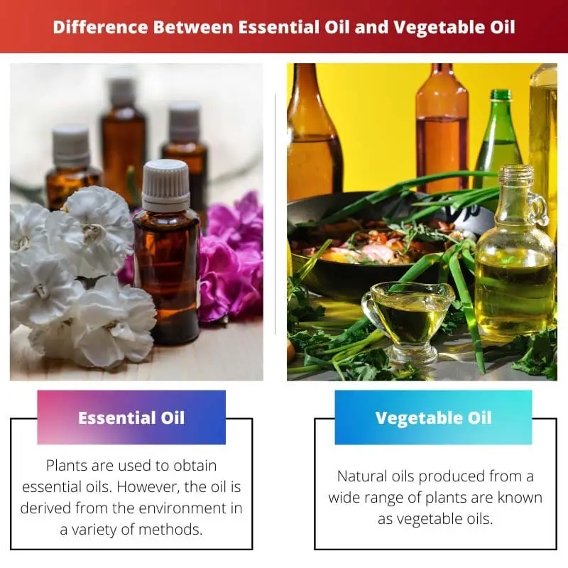 Difference Between Essential Oil and Vegetable Oil