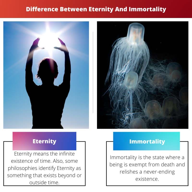 Difference Between Eternity And Immortality