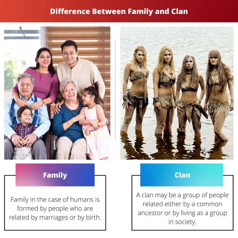 Difference Between Family and Clan
