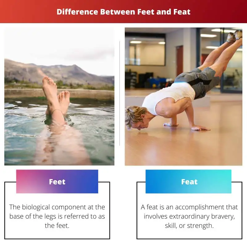Difference Between Feet and Feat