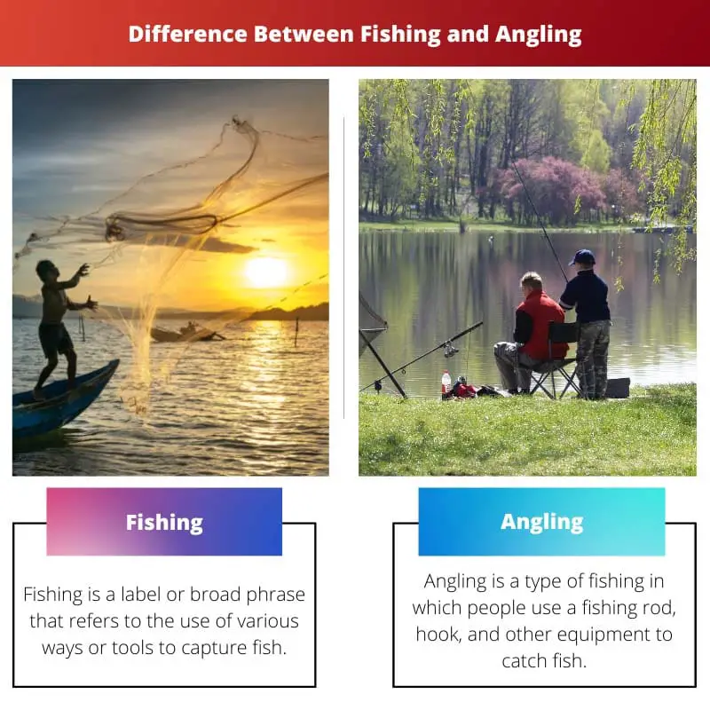 Difference Between Fishing and Angling