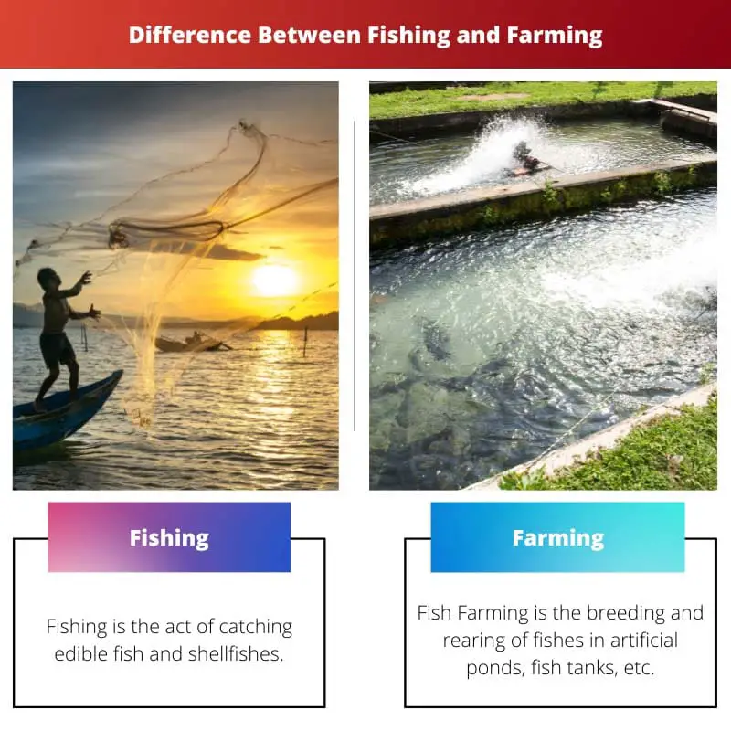 Difference Between Fishing and Farming