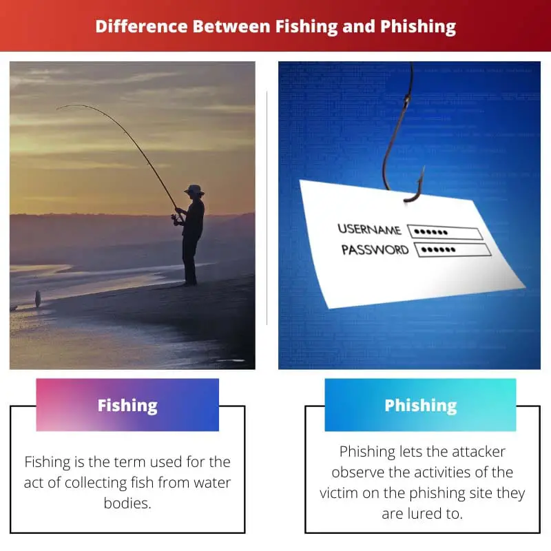 Difference Between Fishing and Phishing