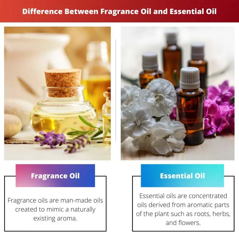 Difference Between Fragrance Oil and Essential Oil