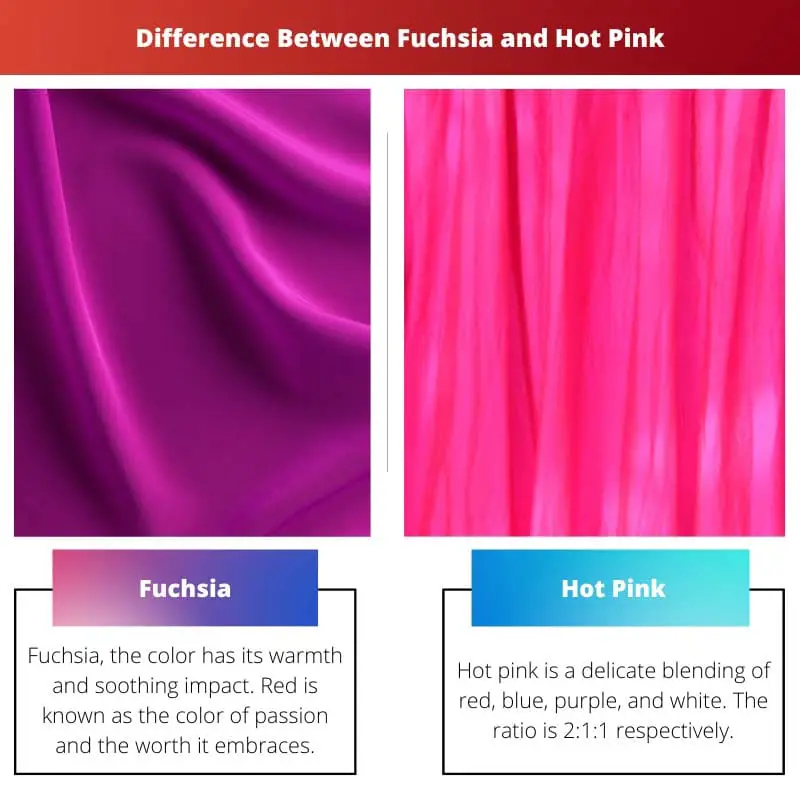 Difference Between Fuchsia and Hot Pink
