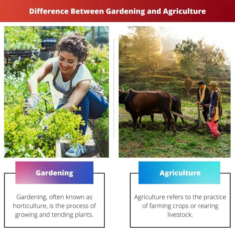 Difference Between Gardening and Agriculture