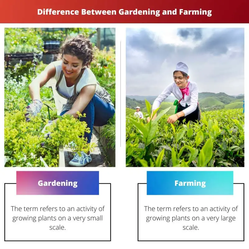 Difference Between Gardening and Farming
