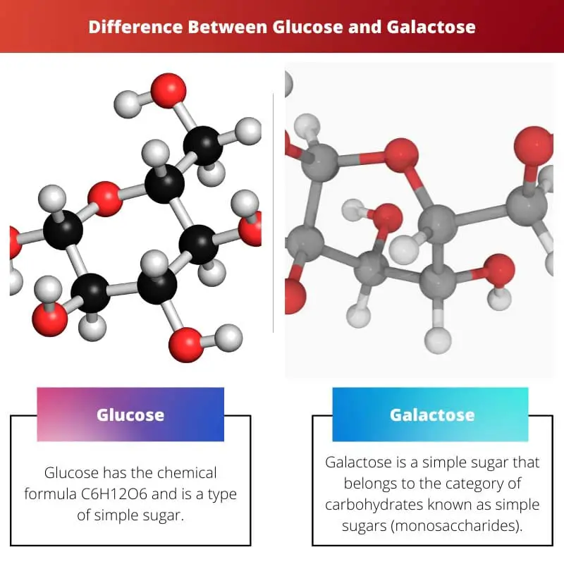Difference Between Glucose and Galactose