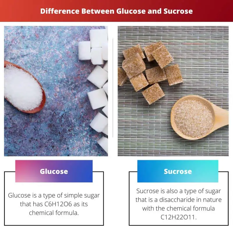 Difference Between Glucose and Sucrose