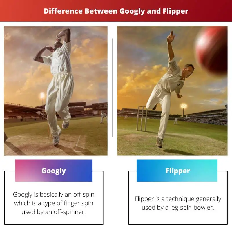 Difference Between Googly and Flipper