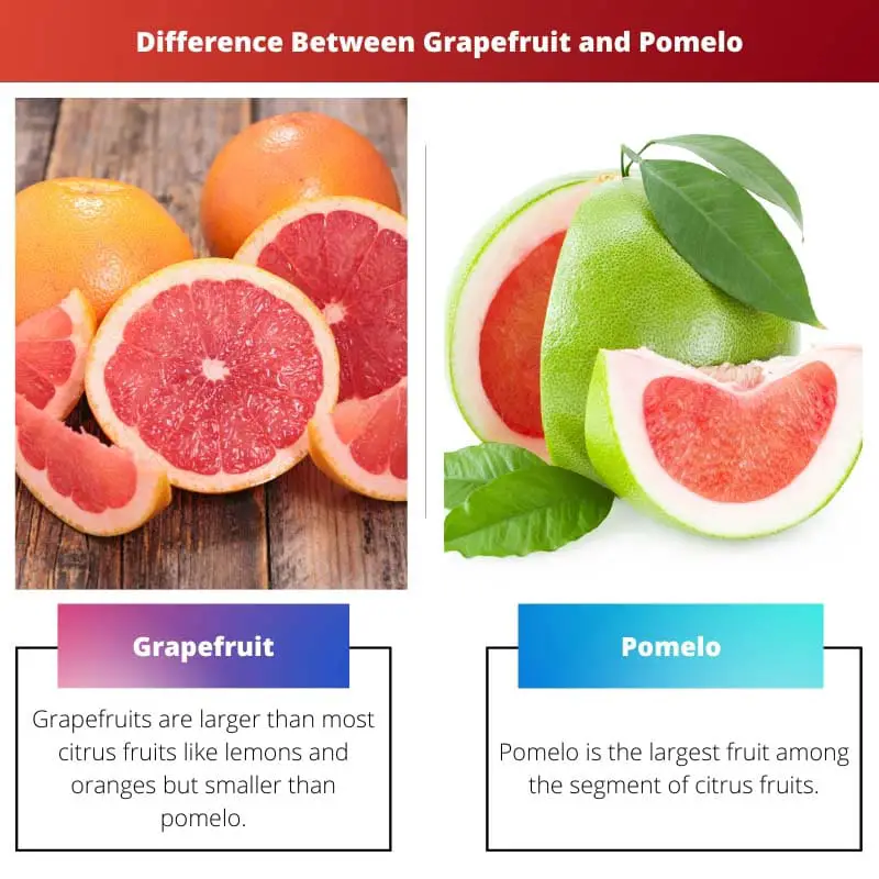 Difference Between Grapefruit and Pomelo