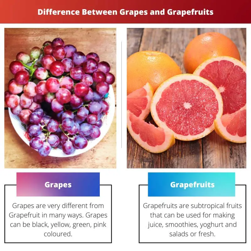Difference Between Grapes and Grapefruits