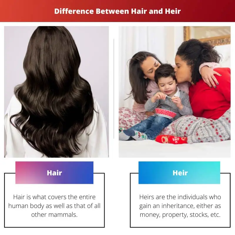 Difference Between Hair and Heir