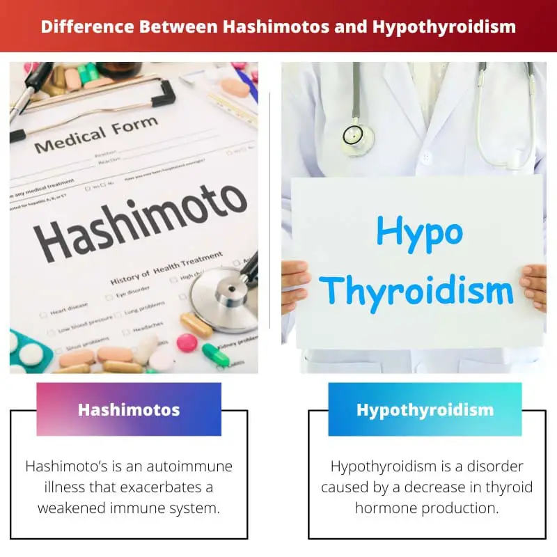 Difference Between Hashimotos and Hypothyroidism