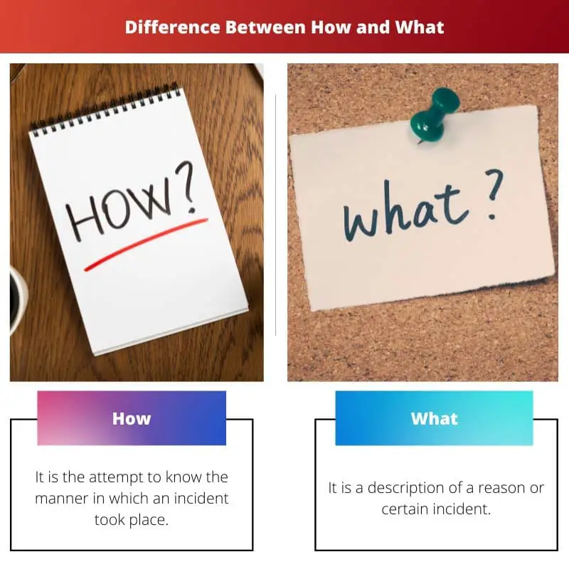 Difference Between How and What 1